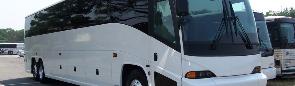 charter bus rentals