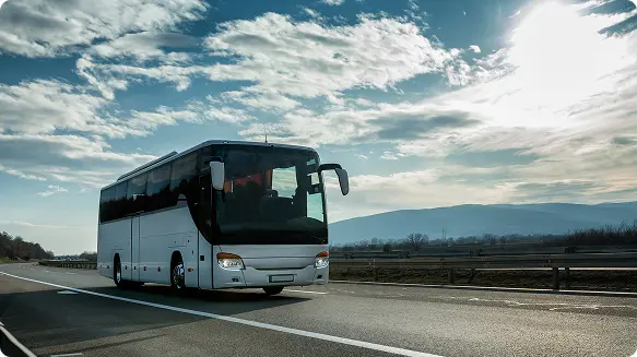 Thousands of Buses