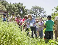 School Field Trips