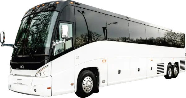 56 Passenger Charter Bus 